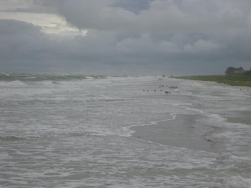 Picture 054